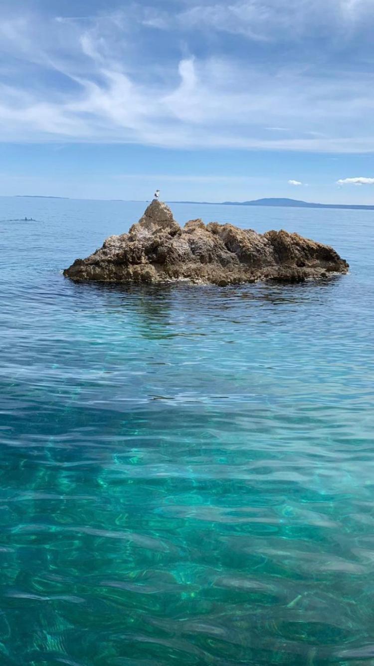 Villa Evamar, Island Krk Punat Eksteriør billede