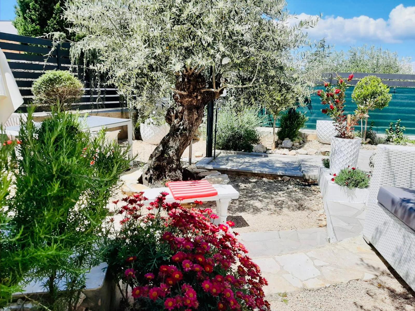 Villa Evamar, Island Krk Punat Eksteriør billede
